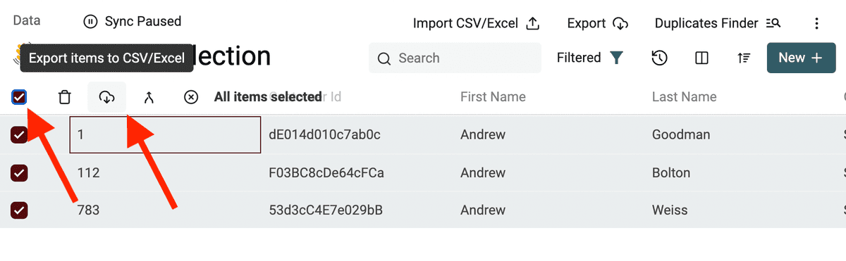 Export filtered items