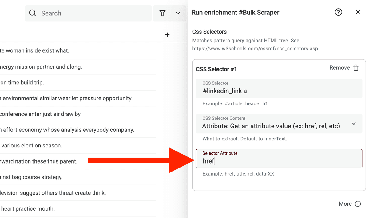 CSS Selector Attribute