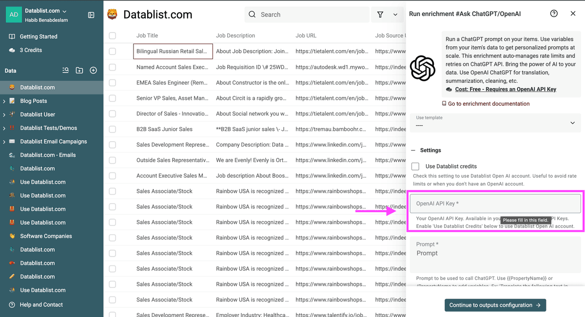 Paste OpenAI API Key