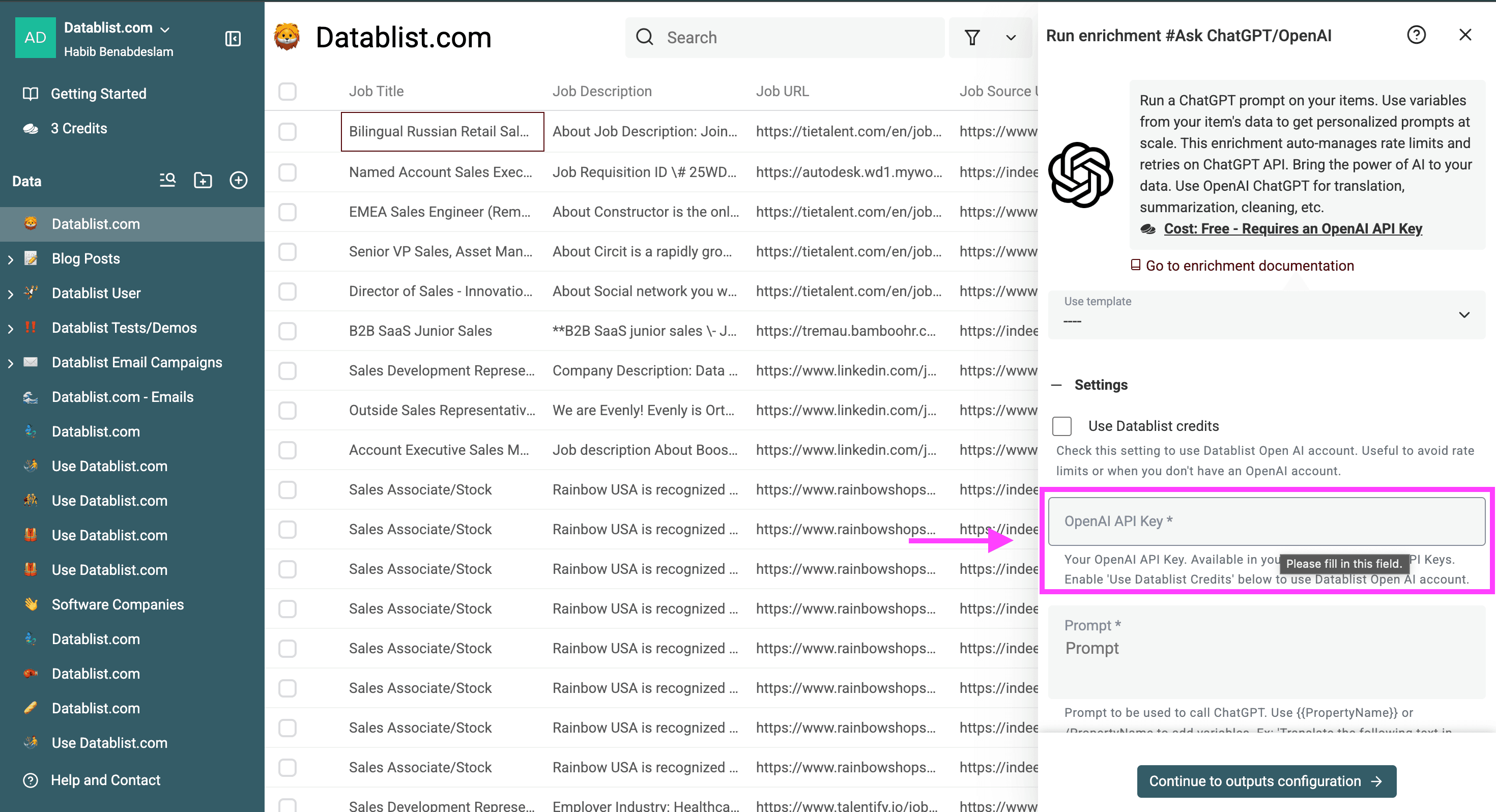 Paste OpenAI API Key