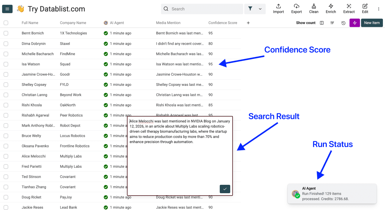 How To Use ChatGPT Search in a Spreadsheet - Results