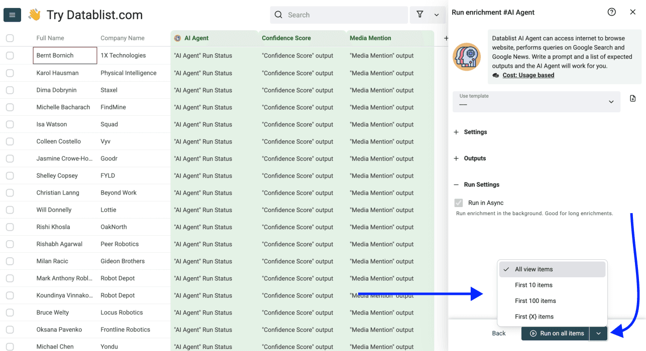 How To Use ChatGPT Search in a Spreadsheet - Run Settings