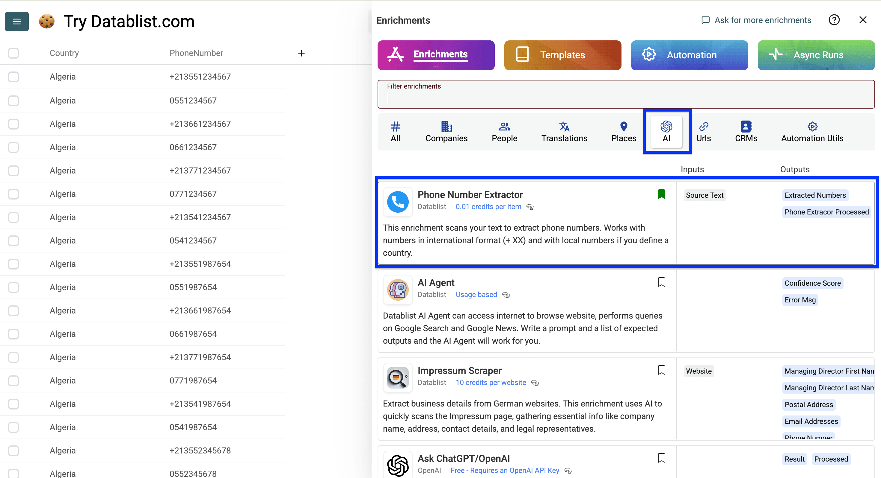 Datablist AI enrichment listing, phone number formatter