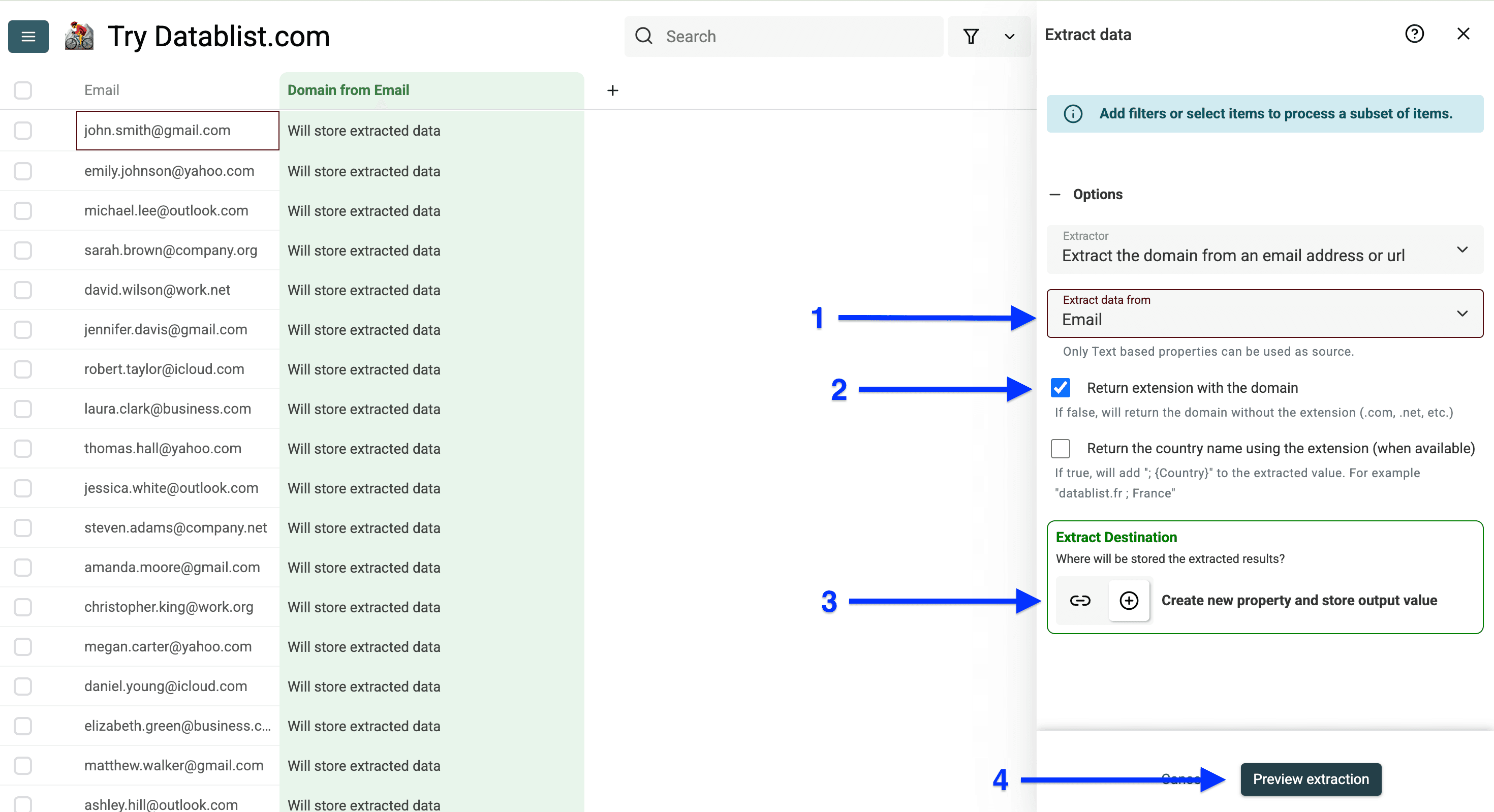 Input and output configuration of Datablist’s domain extractor
