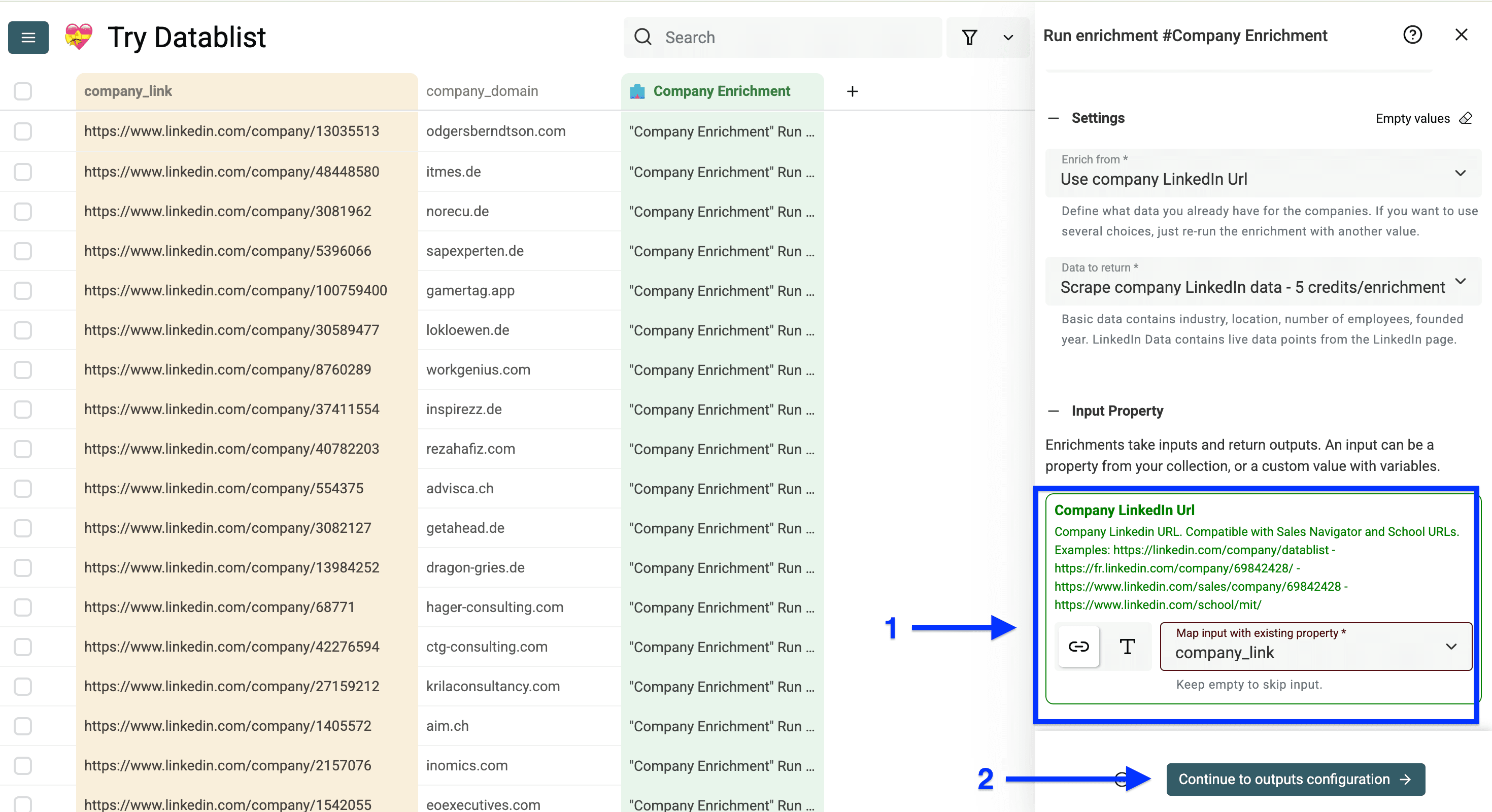 Input configuration of Datablist’s Company Enrichment