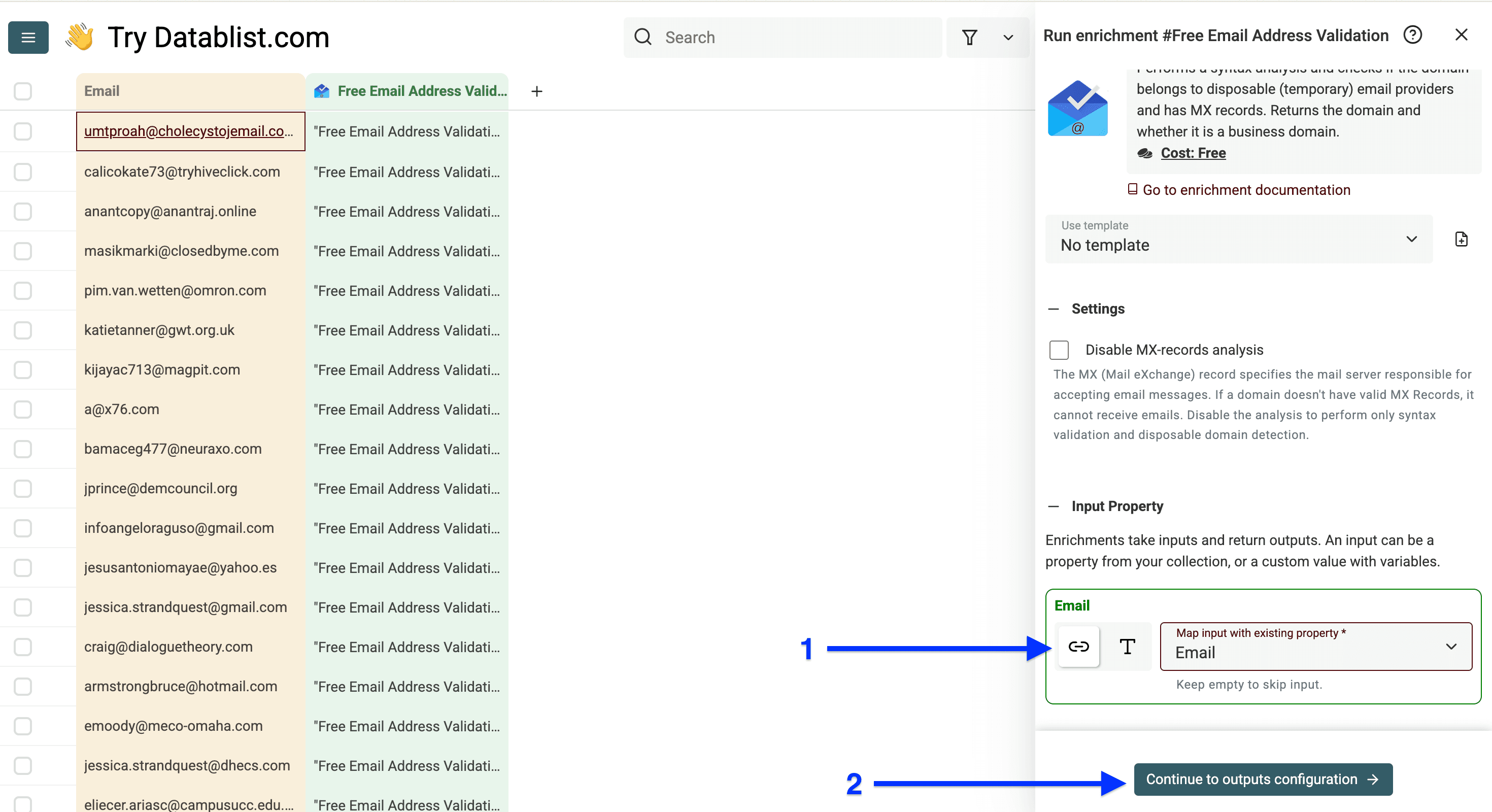 Input configuration of Datablist’s free validation