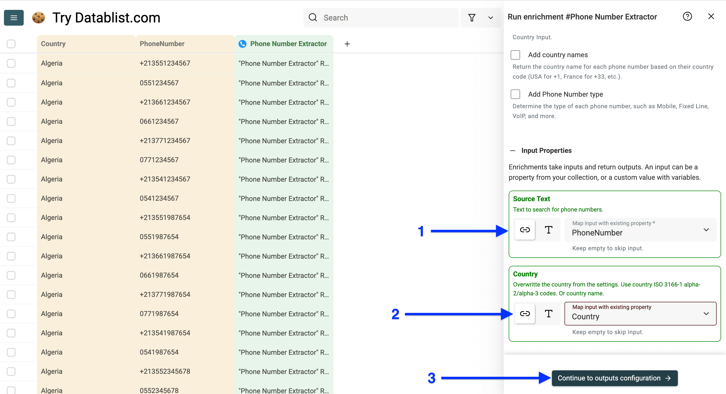 Input configuration of Datablist’s phone number formatter