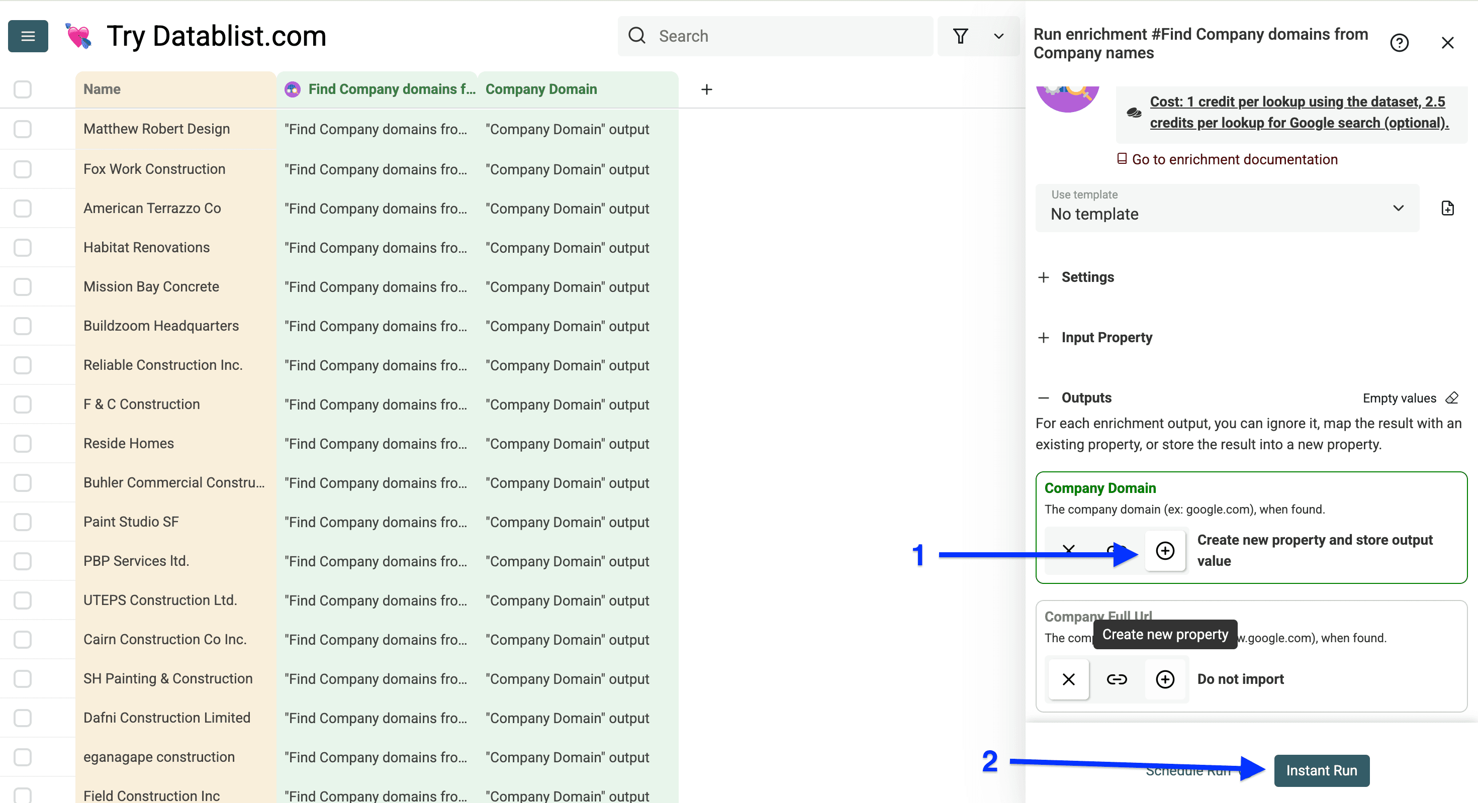 Output column configuration of Datablist’s Domain Finder