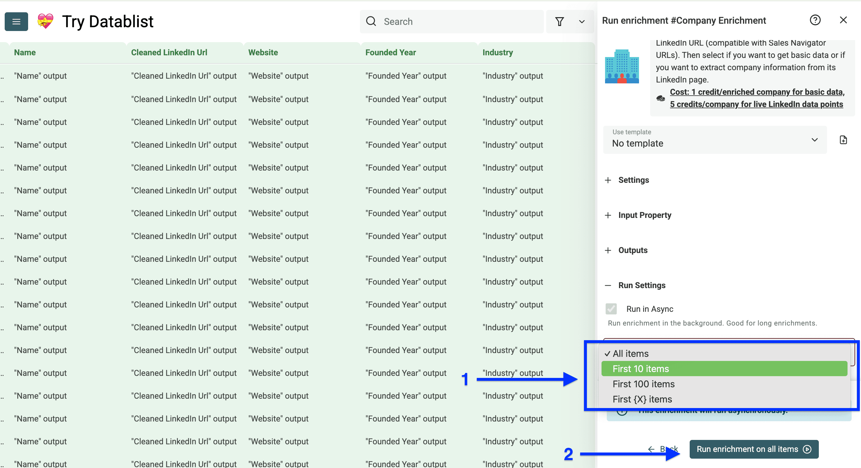 Run settings of Datablist’s Company Enrichment