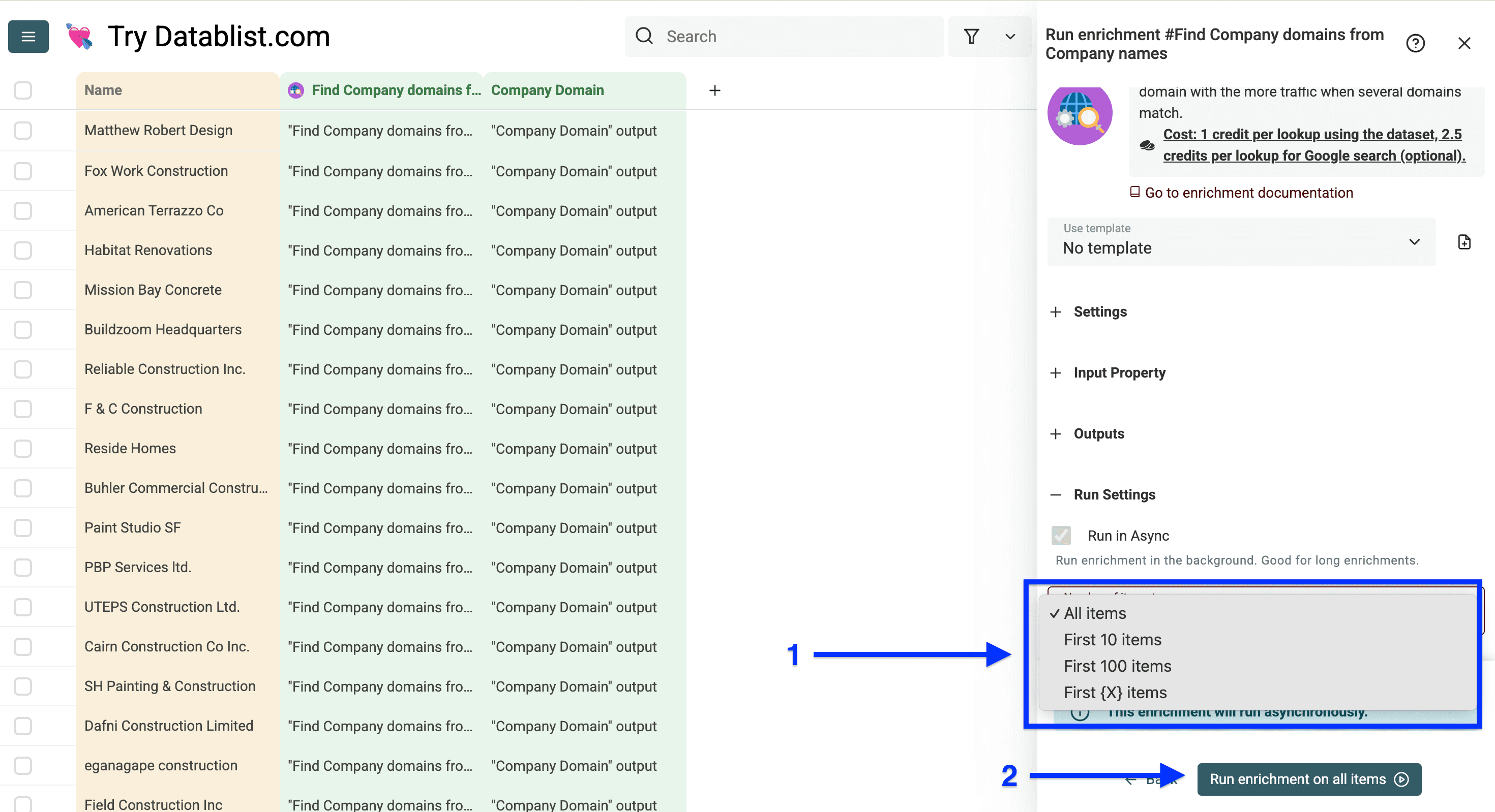 Run settings of Datablist’s Domain Finder
