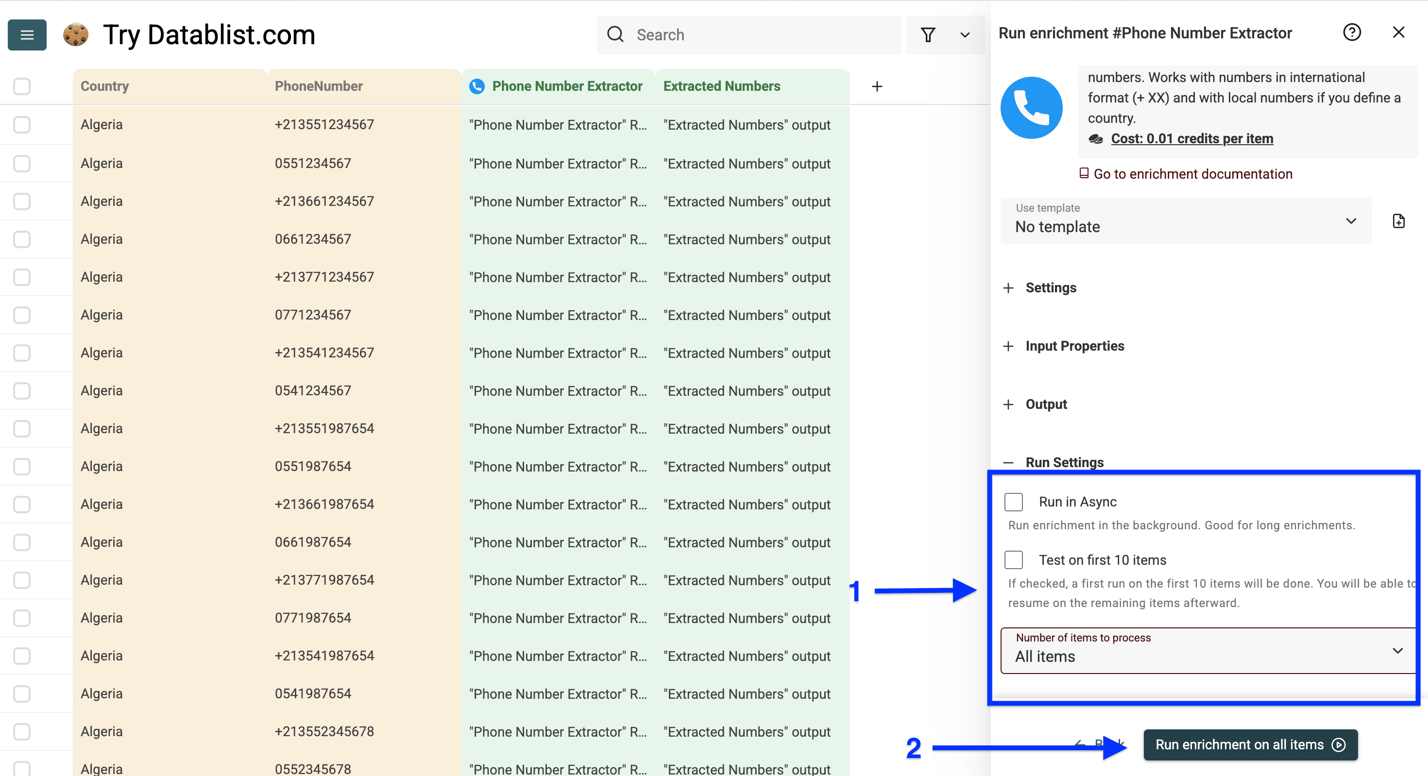 Run settings of Datablist’s phone number formatter