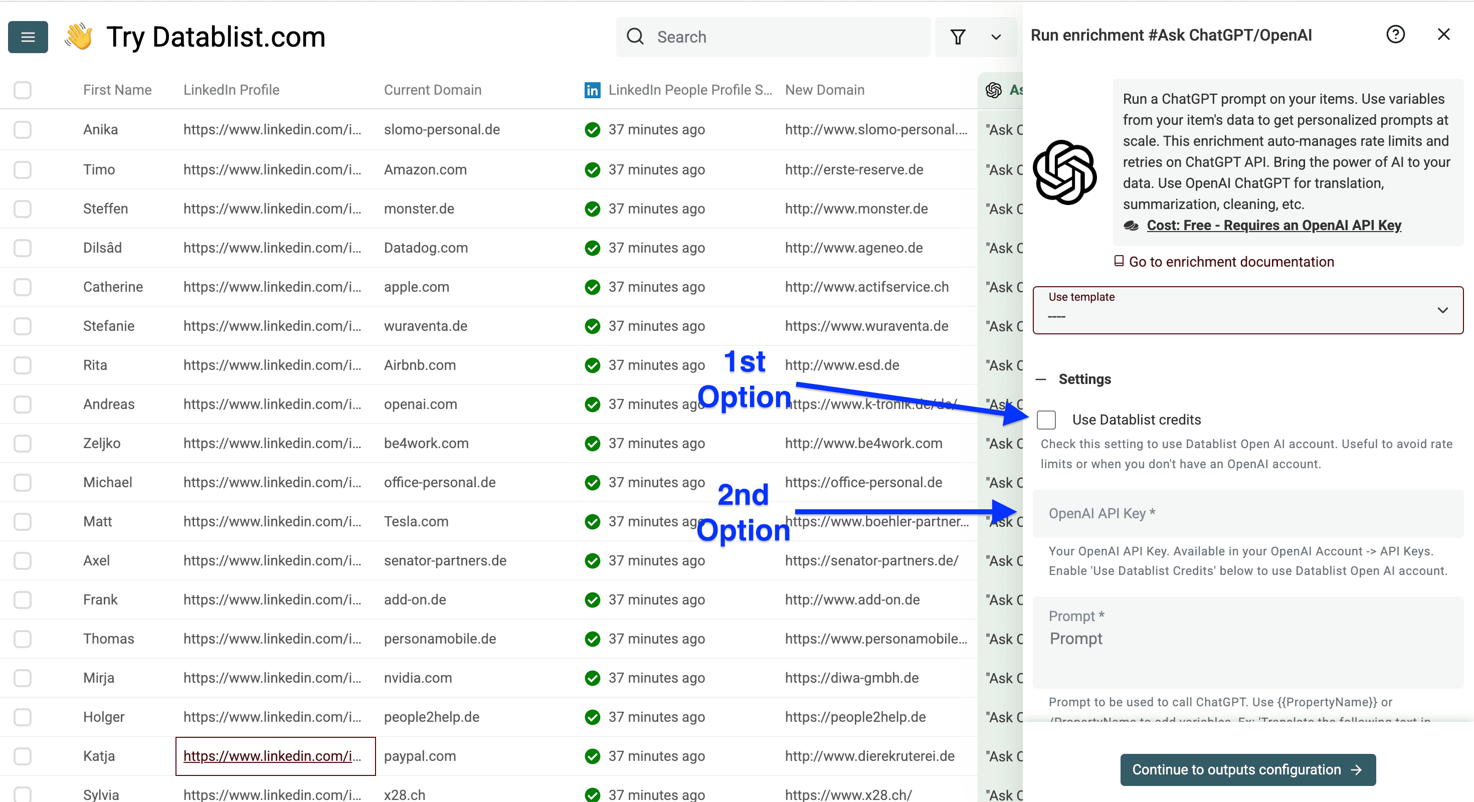 Settings of Datablist’s ChatGPT enrichment
