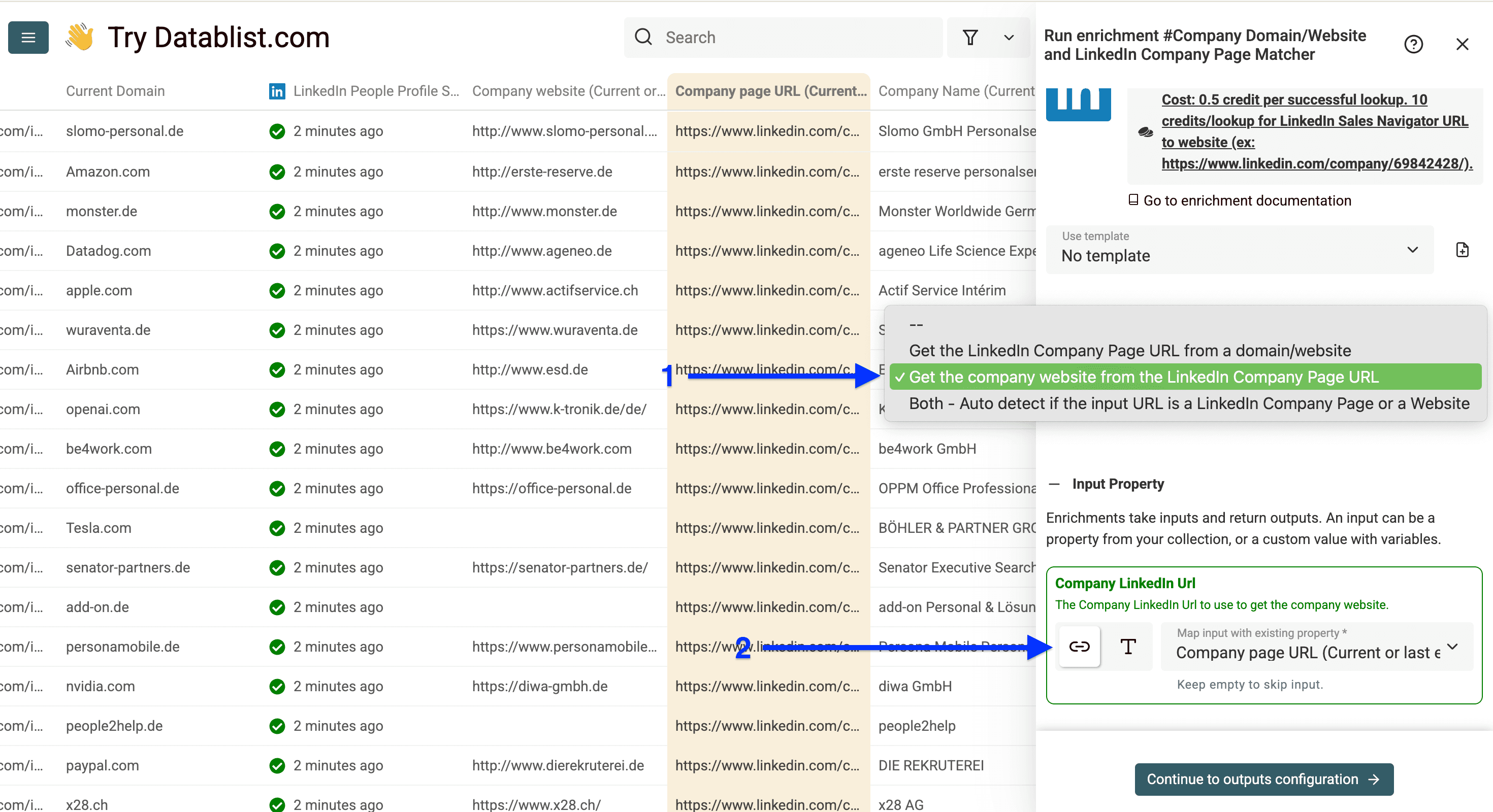 Settings of Datablist’s LinkedIn page to domain enrichment