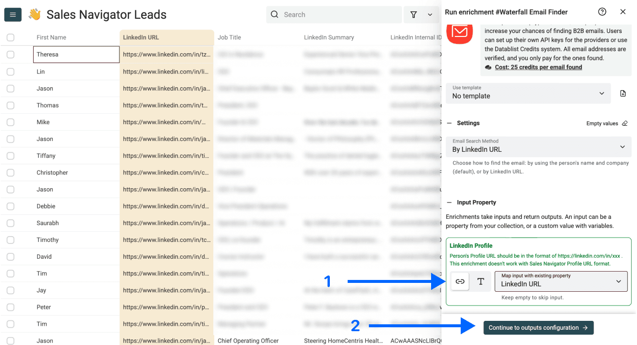 How To Create a Lead List With Emails - Inputs Configuration