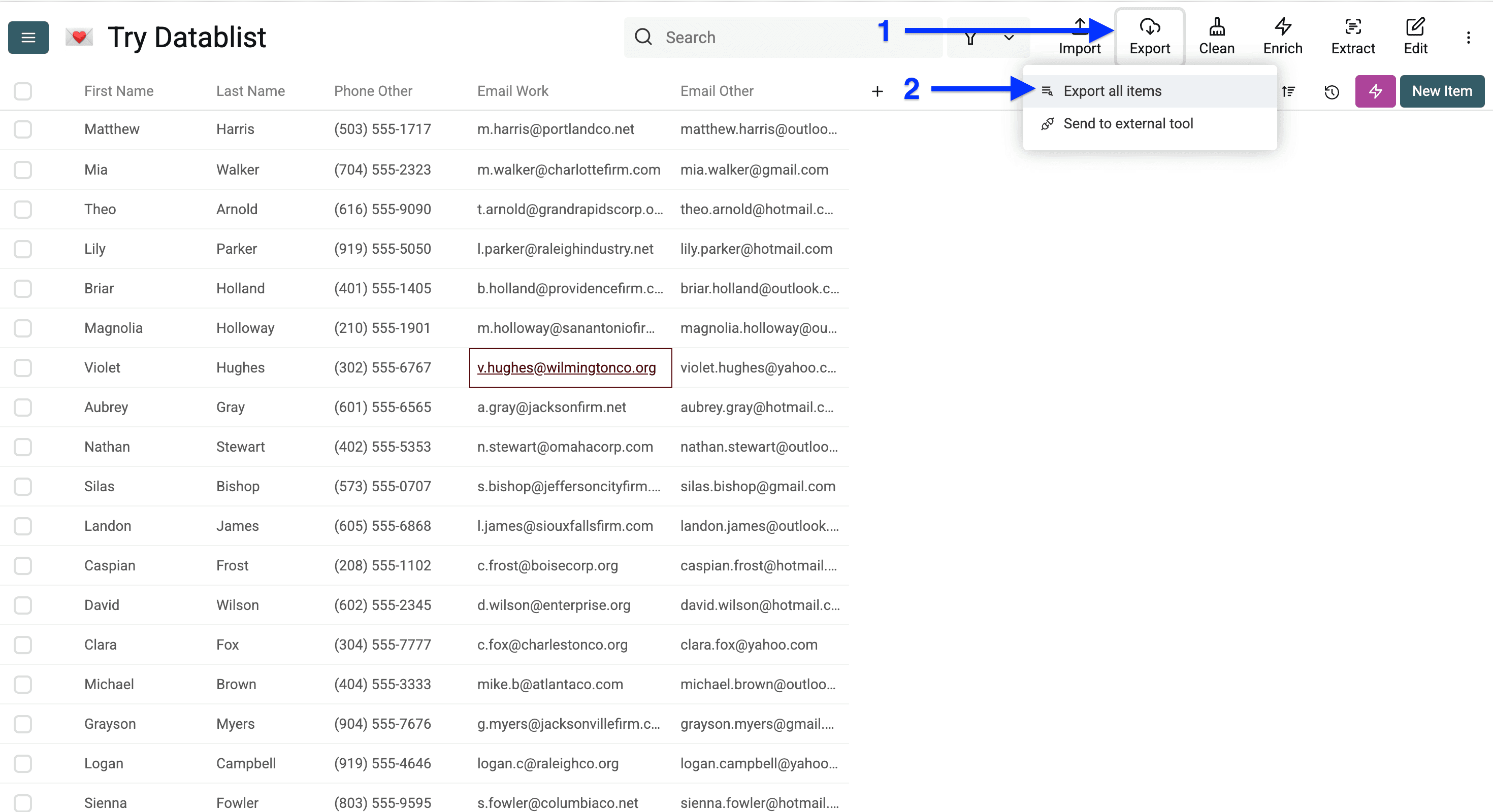 Datablist allows you to export to a CSV or send to other tools