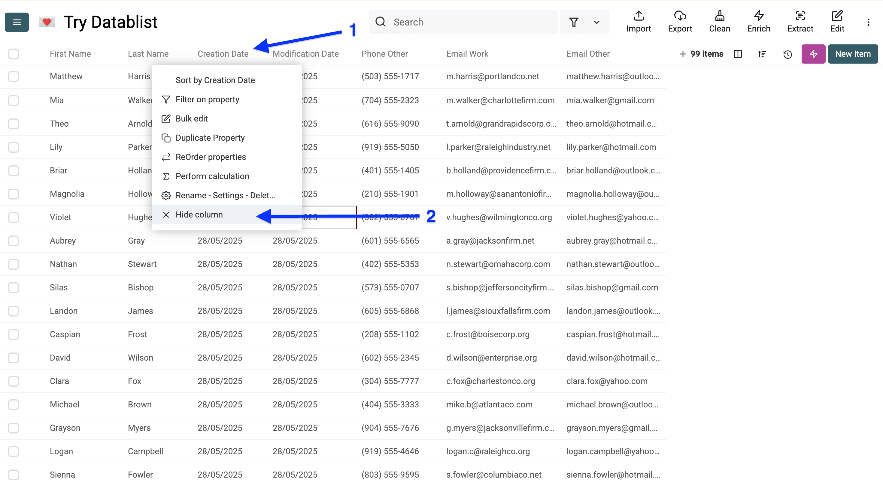 Hiding the date properties allows you get a custom export