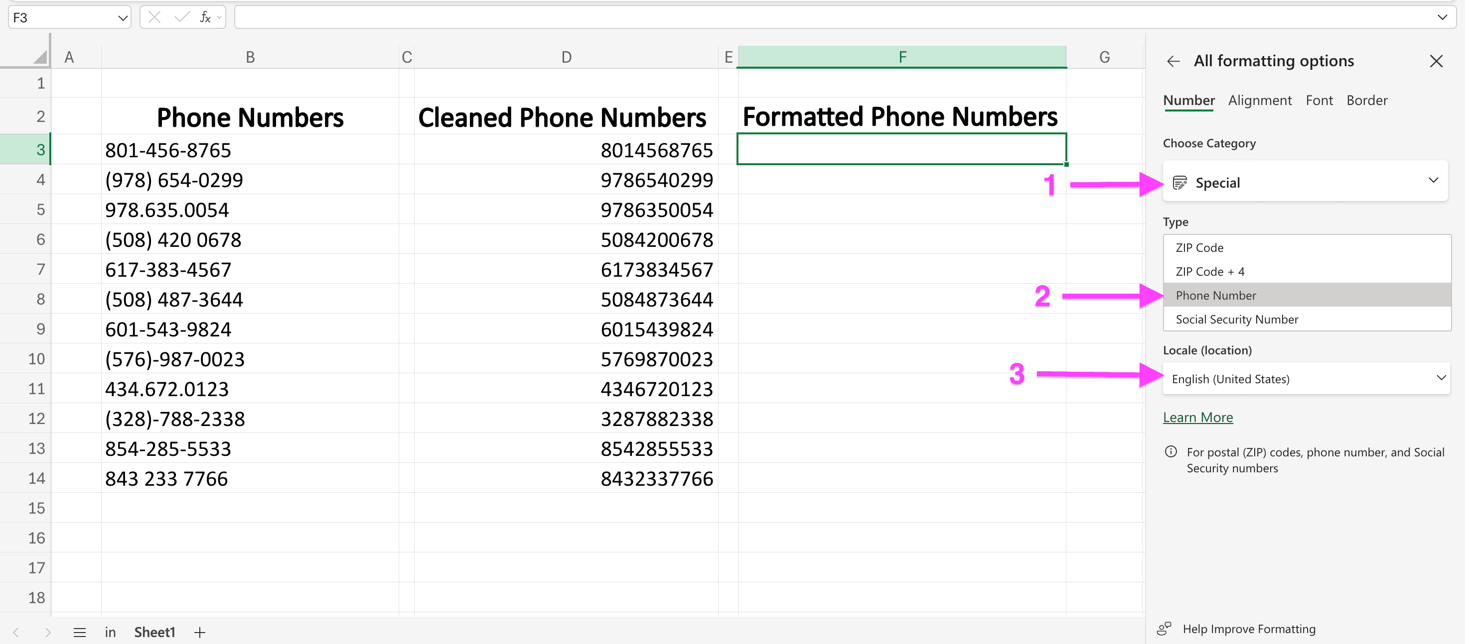 choosing_the_option_to_format_numbers_into_us_phone_numbers.png