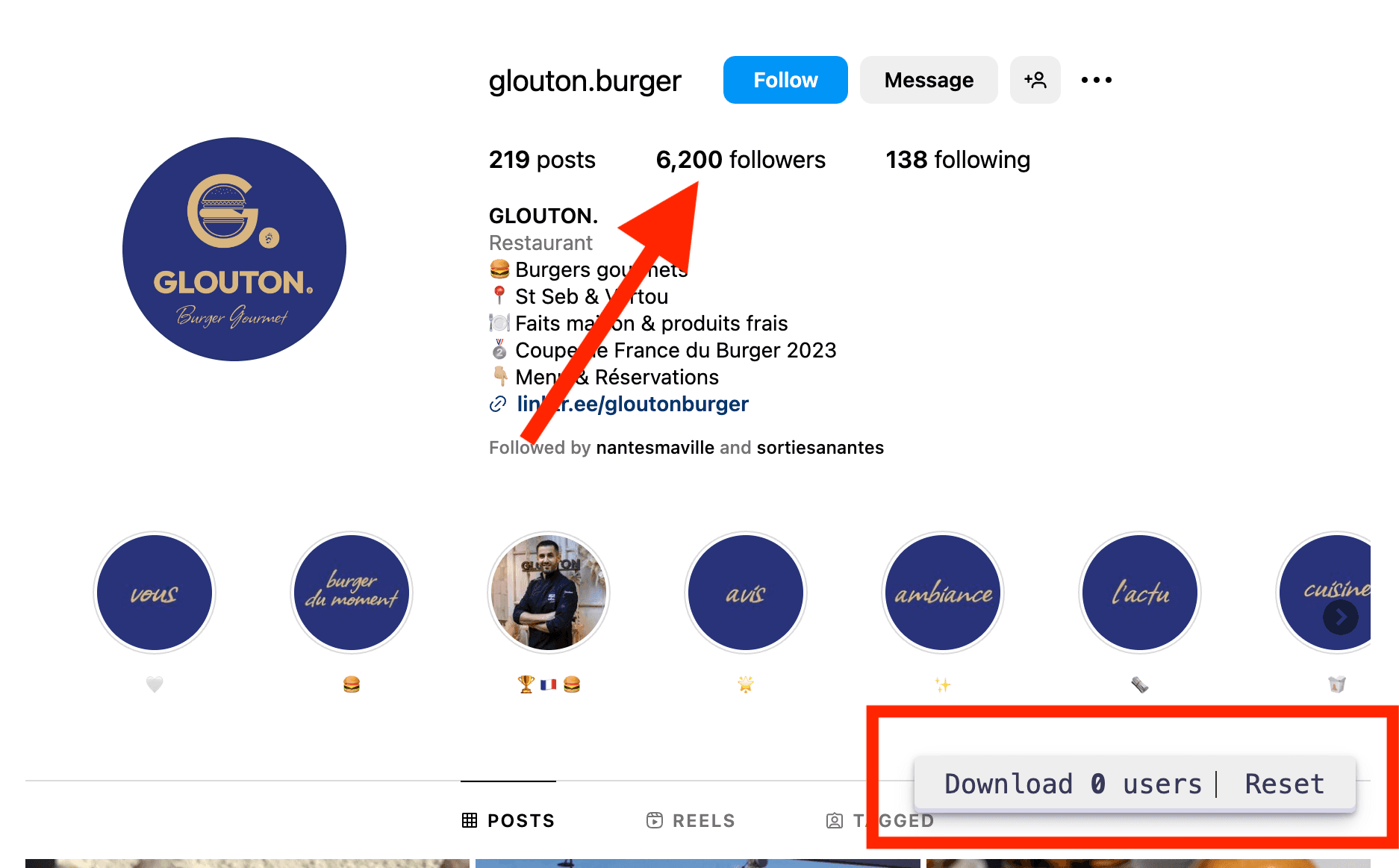 Cargue el script y luego haga clic en "Followers"