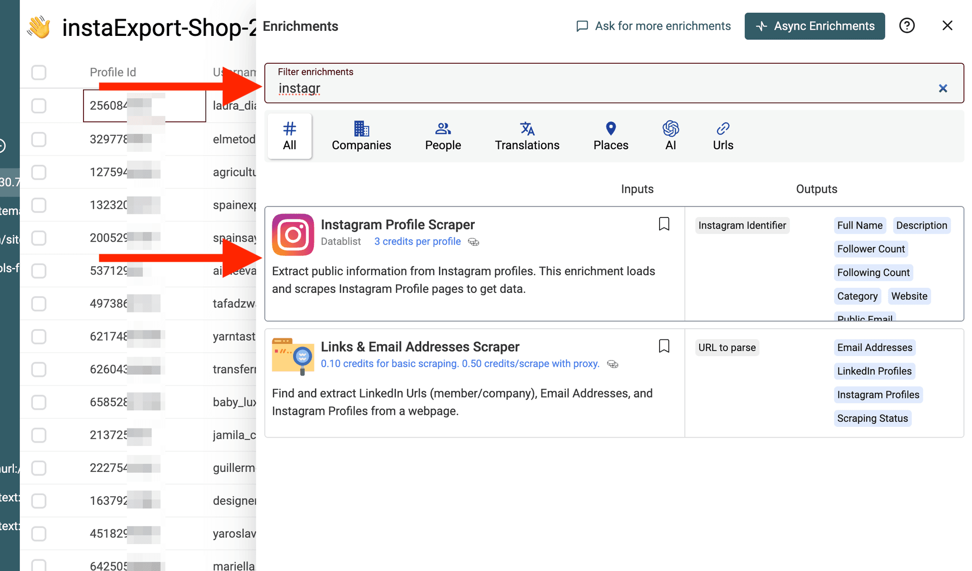 Seleccionar Instagram Profile Scraper