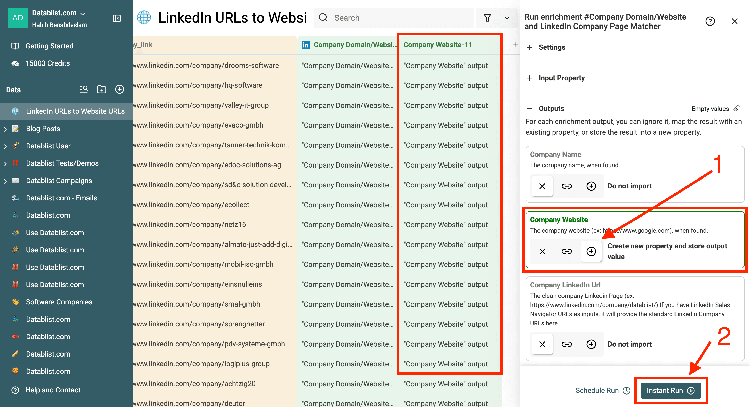 Get Website URLs From LinkedIn Company Pages - Output configuration