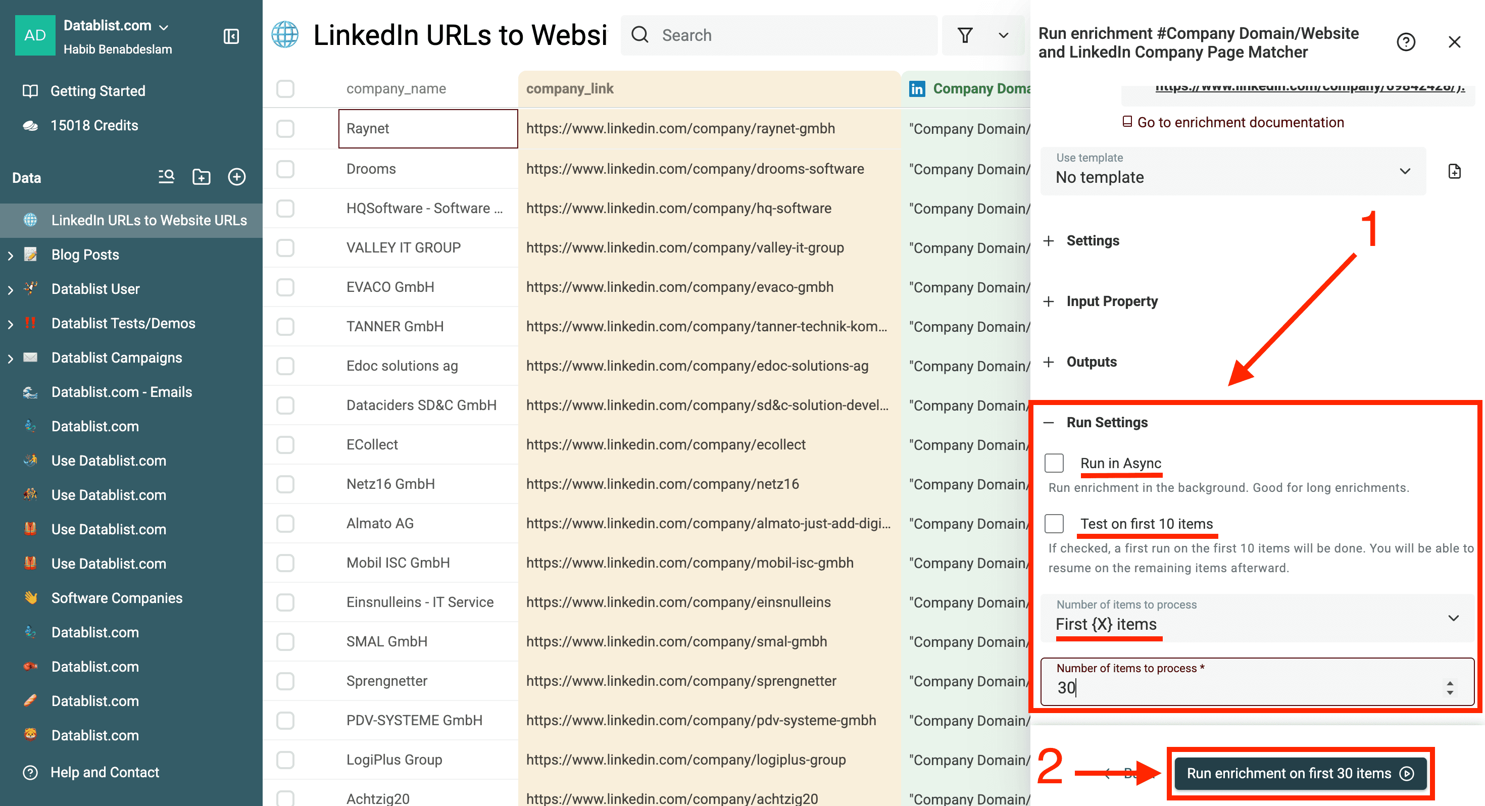 Get Website URLs From LinkedIn Company Pages - Run settings