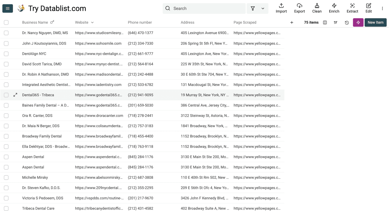 Yellow Pages Scraper, end results