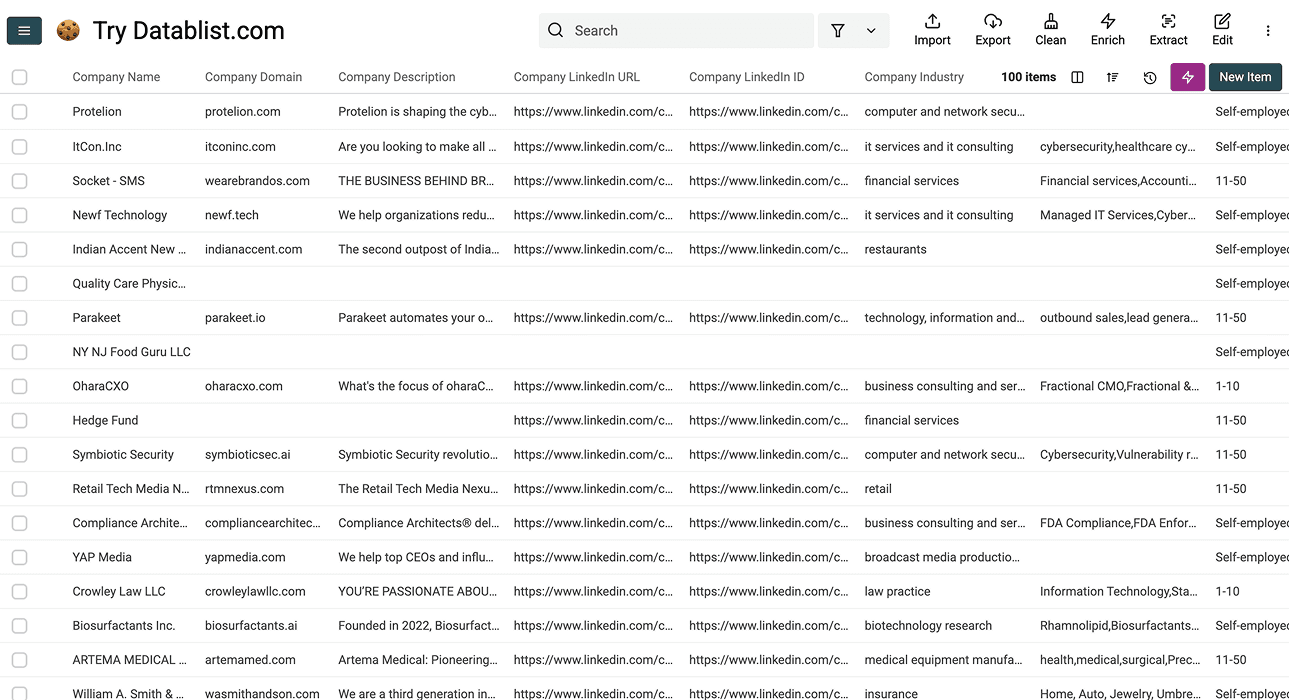 How To Scrape Sales Navigator Accounts - Results Overview