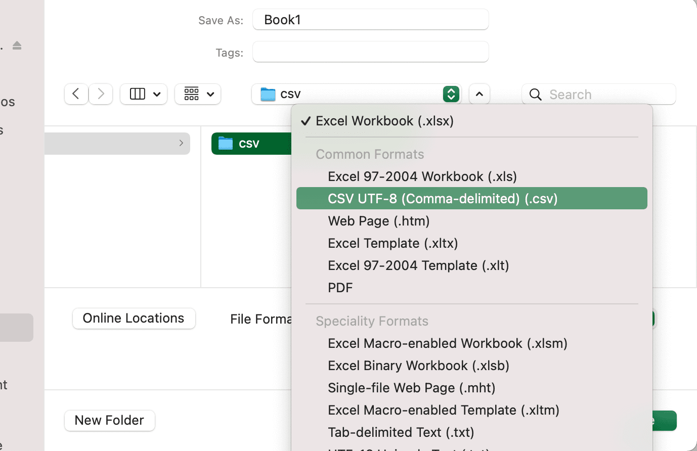 Select CSV in file formats