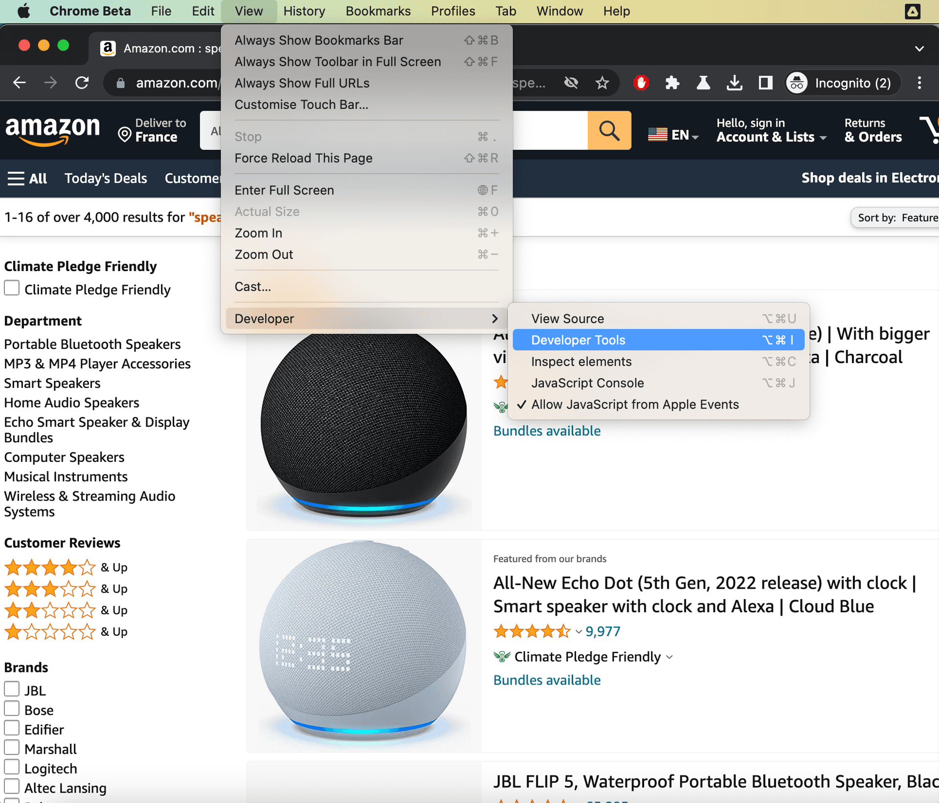 Open Chrome Developer Tools